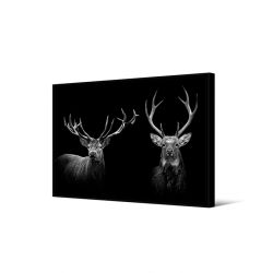 Toile encadré Duo cerf noir et blanc, 65 x 92,5 cm, collection My gallery, Pôdevache