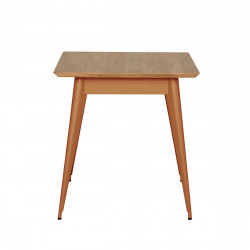 Table 55 Plateau Chêne, Terracotta, Tolix, 70 X 70 X H74 cm