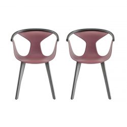 Lot de 2 fauteuils Fox 3725, assise rouge, pieds frêne noir, Pedrali, H79xL60,5xl53